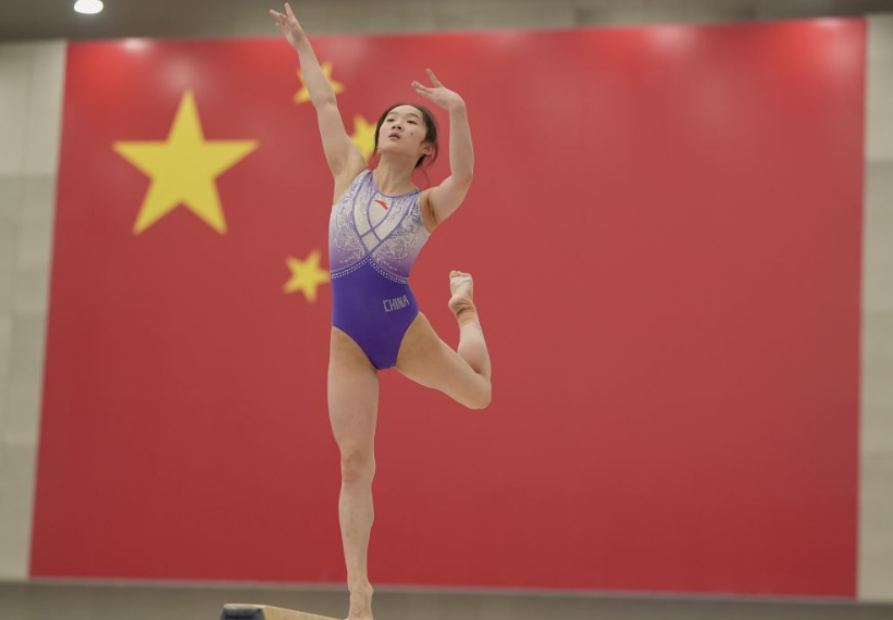 必赢网的全面解读与使用指南